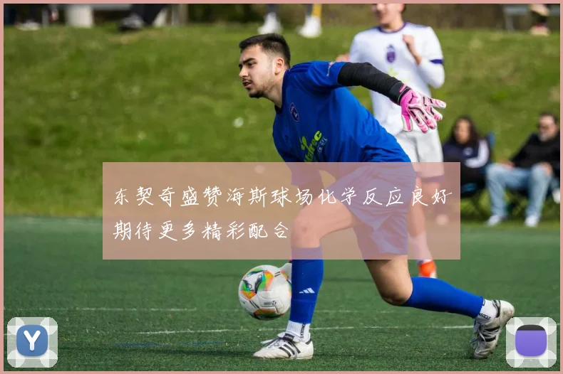 东契奇盛赞海斯球场化学反应良好期待更多精彩配合