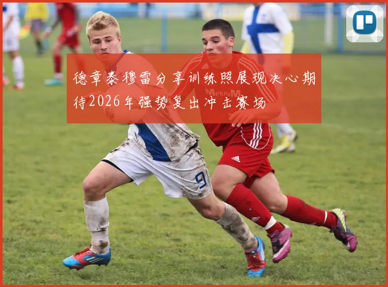 德章泰穆雷分享训练照展现决心期待2026年强势复出冲击赛场