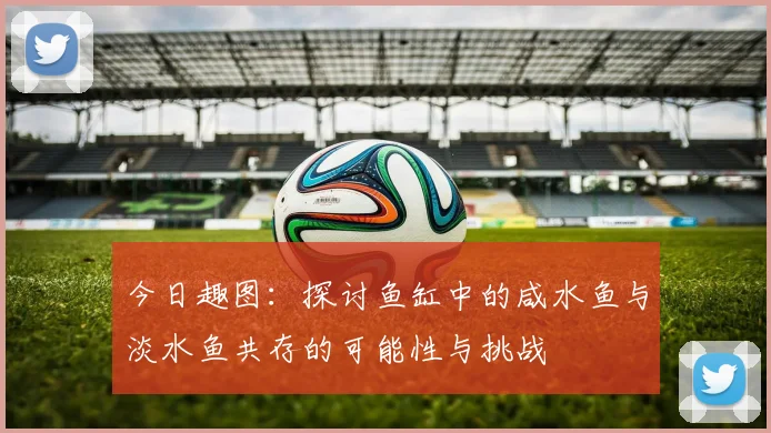 今日趣图：探讨鱼缸中的咸水鱼与淡水鱼共存的可能性与挑战