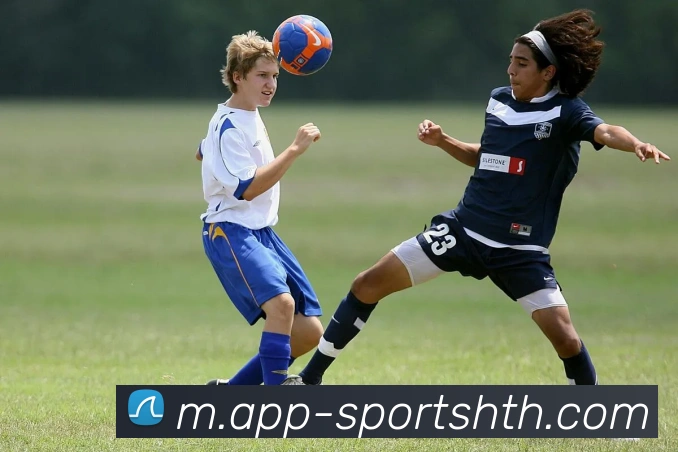 华体会体育平台生态图